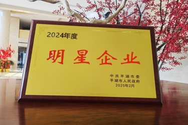 新春新景新氣象 | 景興紙業(yè)在平湖三干大會上喜摘榮譽！